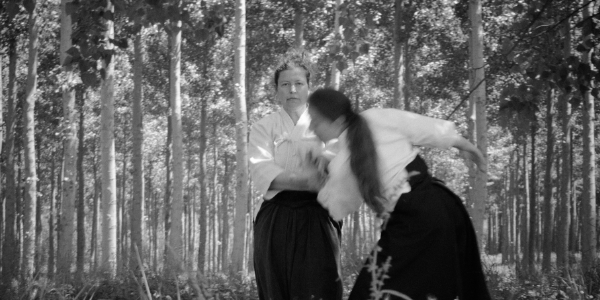 aikido adultos
