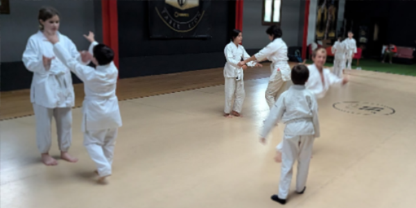 aikido escolares